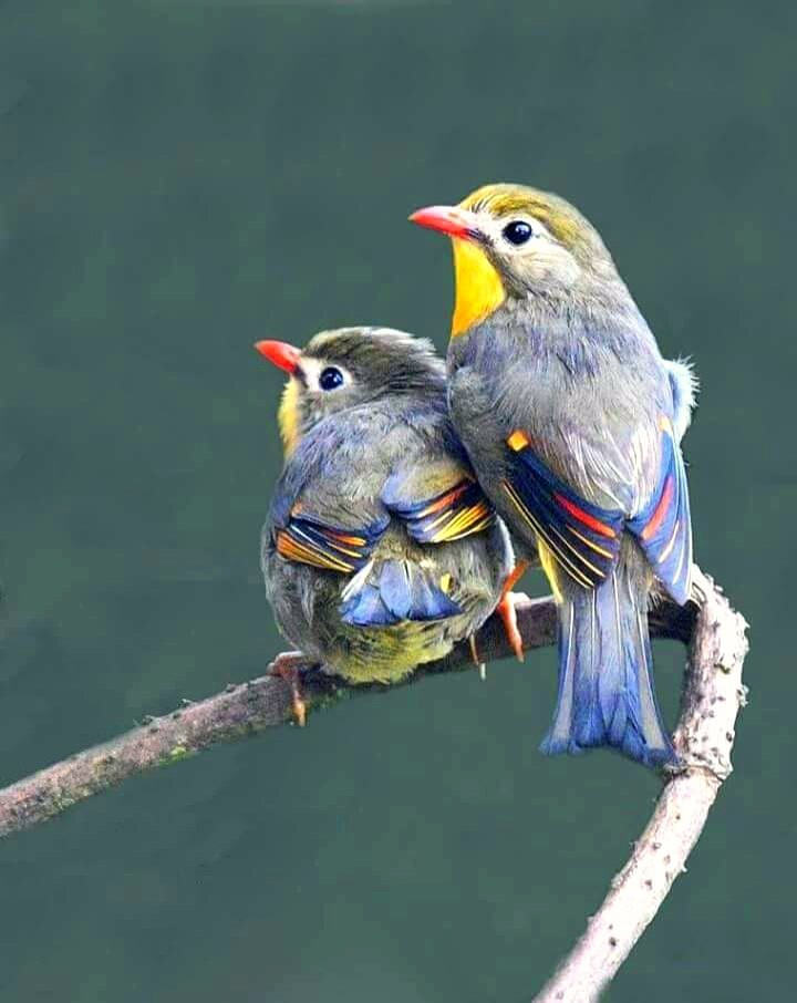 Salvation is a MIRACLE, supported by Correct Doctrine and Church Life