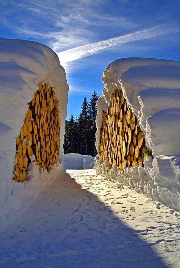 God is Spirit. Adam is Flesh. Adam cannot see or comprehend the Spirit