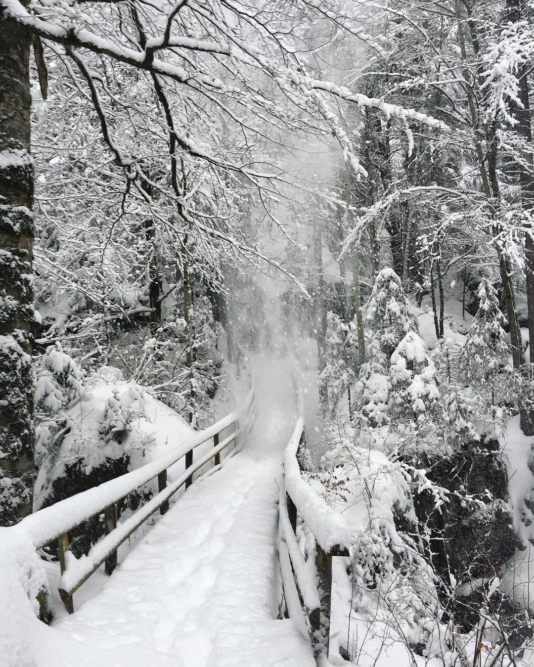 Few can bear the Words of Christ