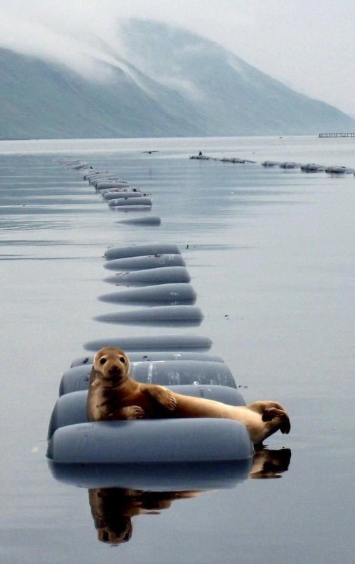 Meeting, Evangelizing and Prophesying by the Spirit GOW