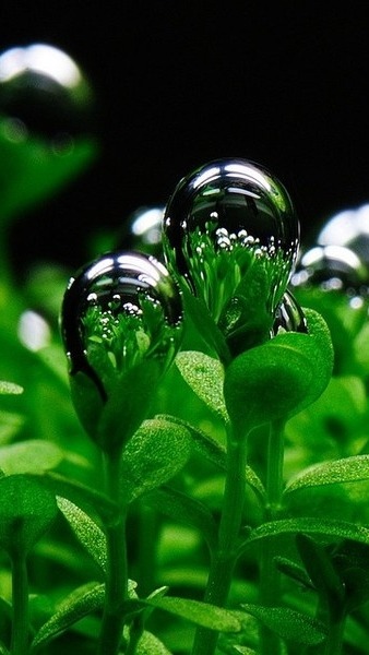 Sin is not overcome by self-control, but by the powerful working of the Spirit