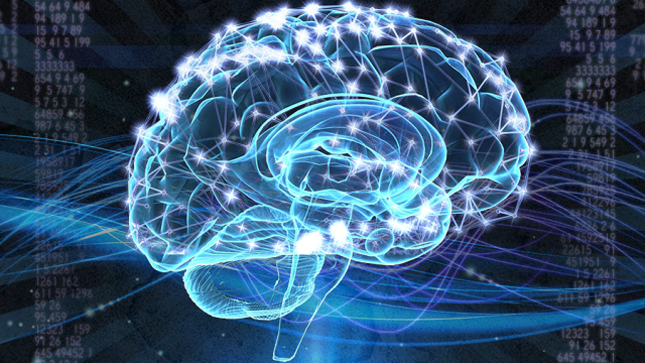 The Brain is a Machine only a Ghost can operate