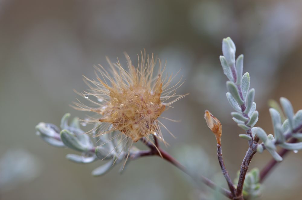 The Two Aspects of the work of the Holy Spirit