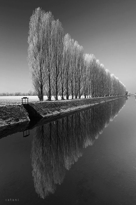 Prophets prophesying for the building up of the House of God