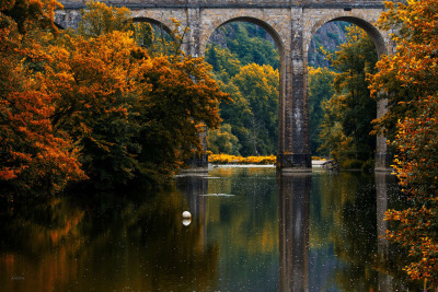 How does Masculine Maturity fit into Church?