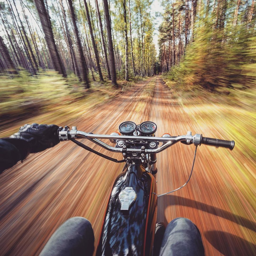 The Brain’s Control Centre during Confrontation