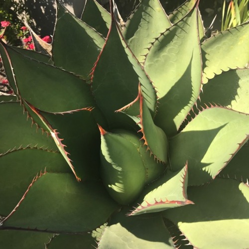 The Kingdom Present with Power