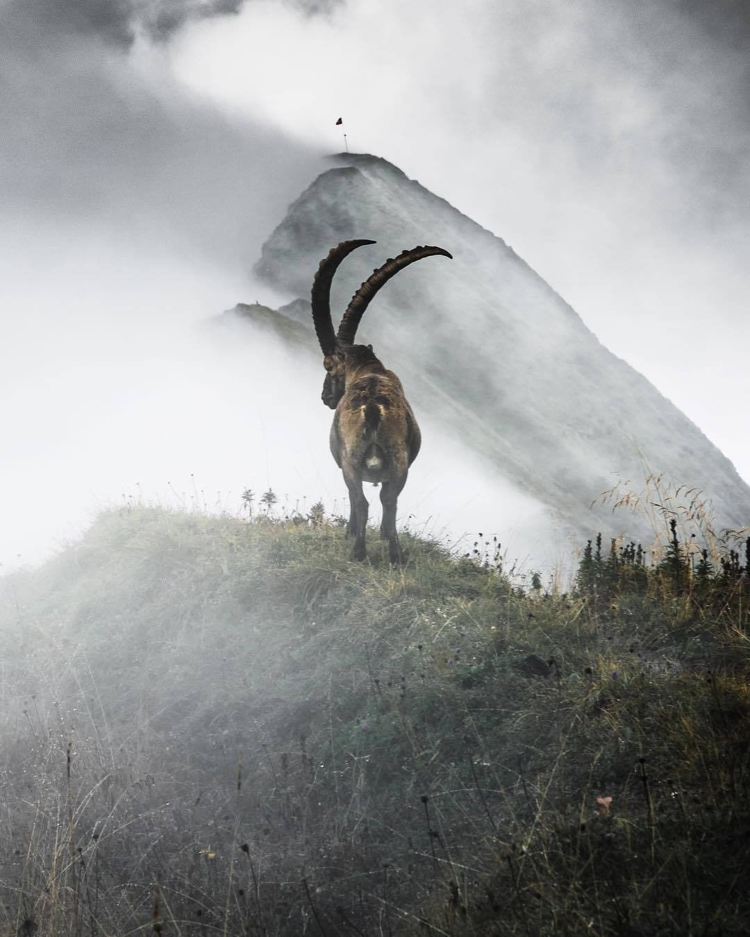 I will give you Places to Walk among these who Stand Here