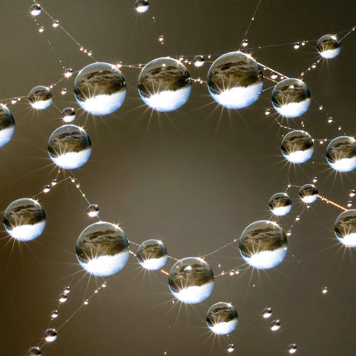 The Greater Works that the Father Shows the Son