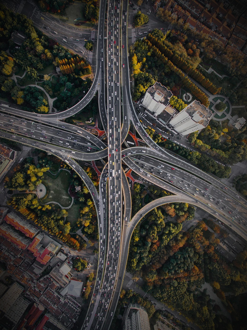 The Biblical Word FOOL and the Power of Wisdom