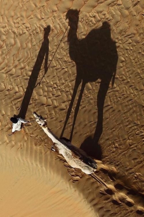 Blessed are those that Mourn